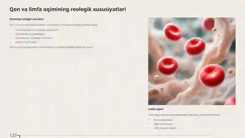 Bioreologiya tirik organizmlarning oqim xususiyatlarini o’rganuvchi fan 3