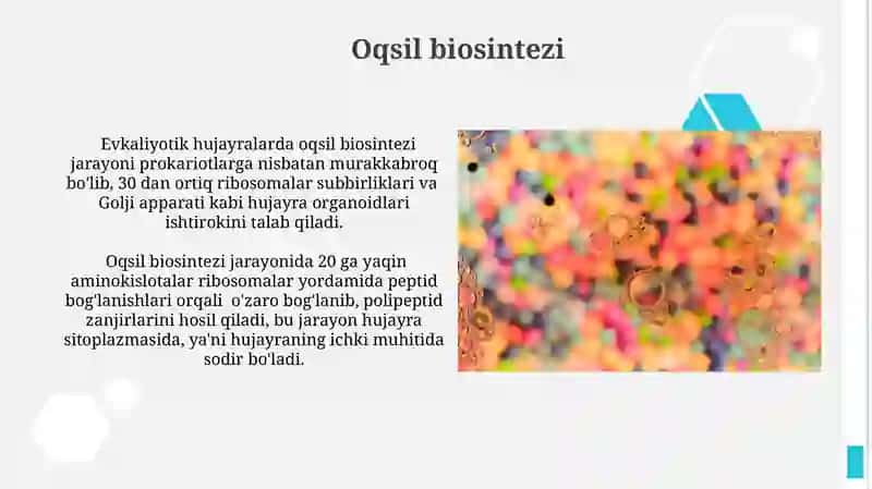 Oqsillar va ularning hujayradagi funksiyalari 3