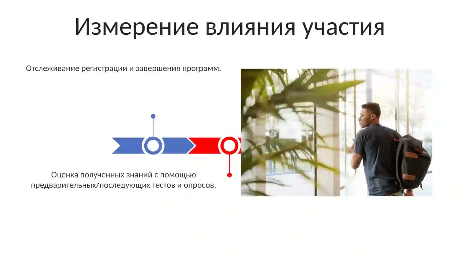 Основные и дополнительные образовательные программы 3