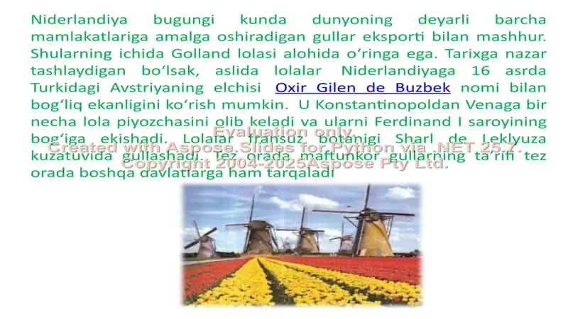 Niderlandiya qishloq xo’jaligi 3