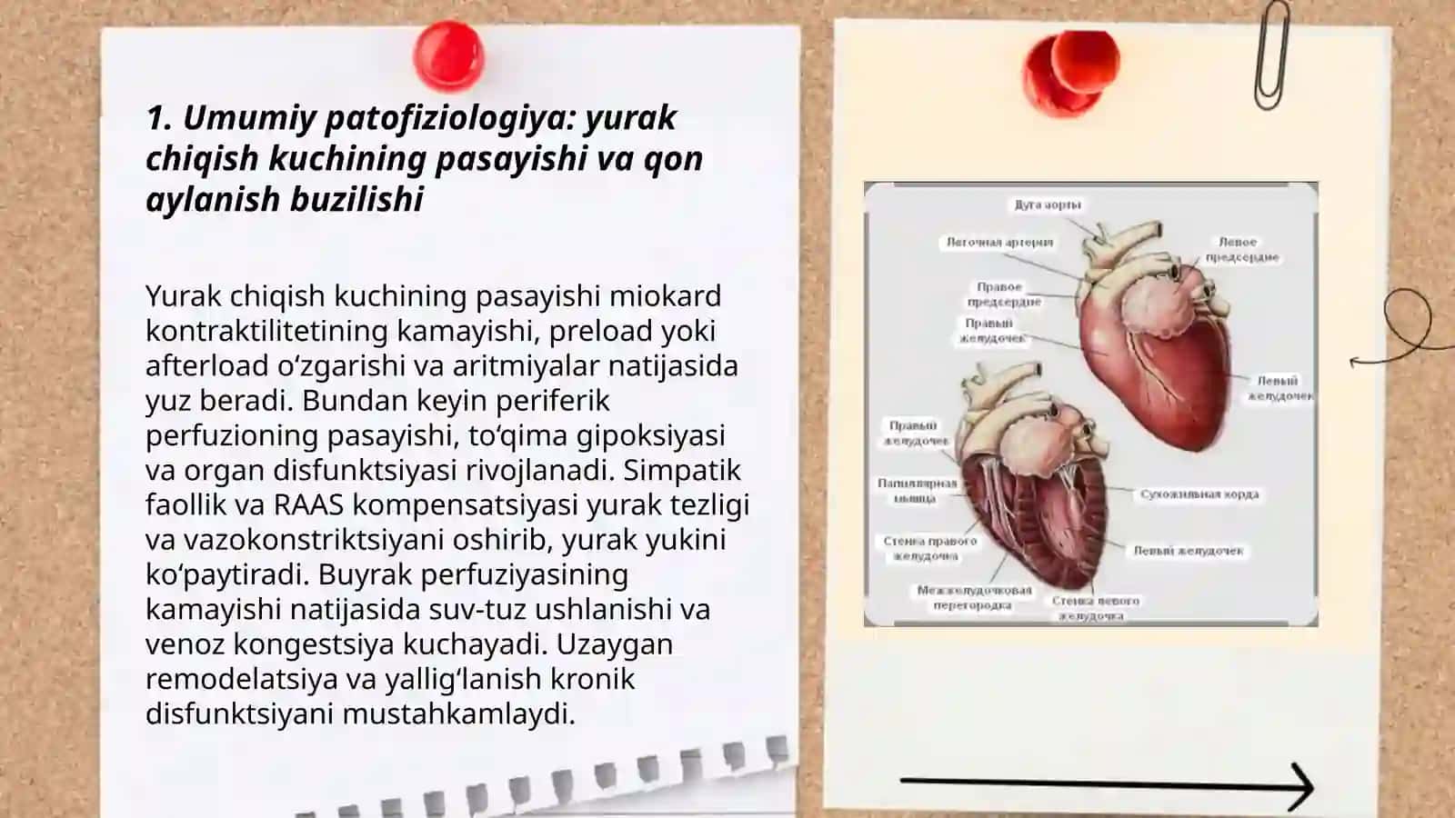 Yurak funksiyalari ozgarishi bilan bogliq bolgan qon aylanisning buzilishi 3