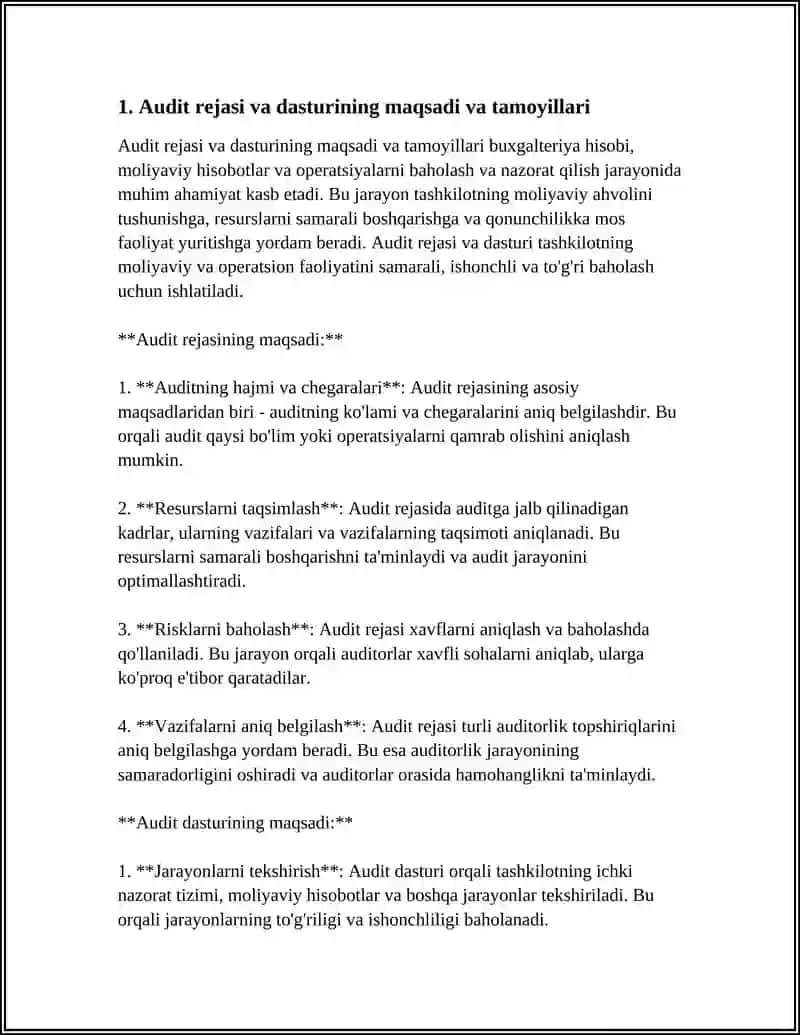 AUDITNING UMUMIY REJASI VA DASTURINI TUZISH 3