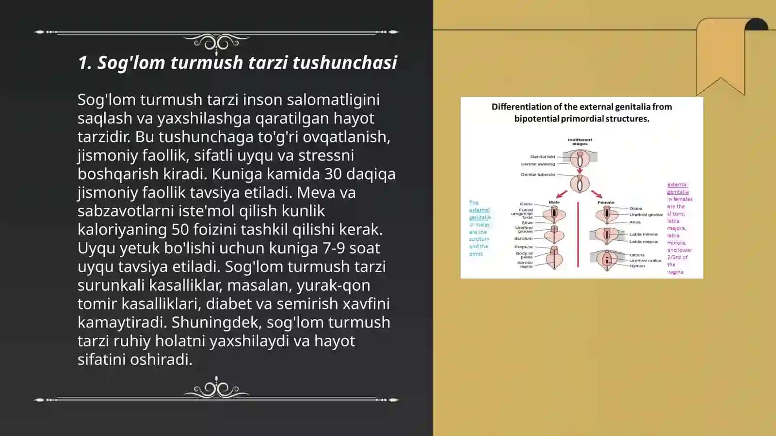 Sog'lom Turmush Tarzi 3
