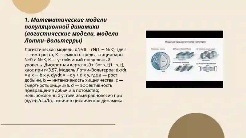 Модели биологических систем 3