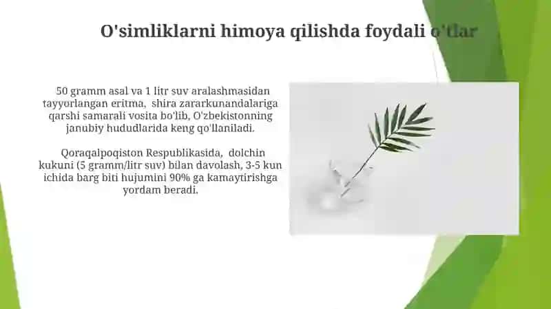 Oʻsimliklardagi zararkunandalar qarshi tabiiy vositalar 3