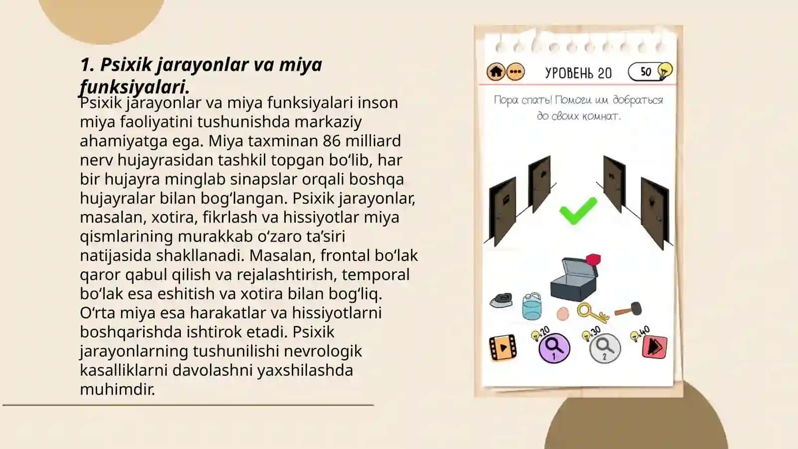 Psixik jarayonlar va miyaning òzaro aloqadorligi 3