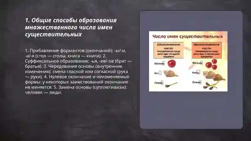 Множественное число имен существительных 3