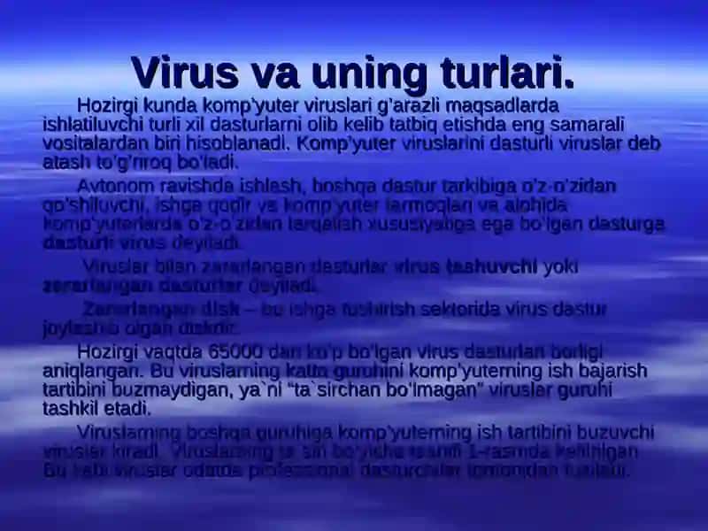 Fayllarni arxivlash va kompyuter viruslaridan himoyalanish taqdimoti 3