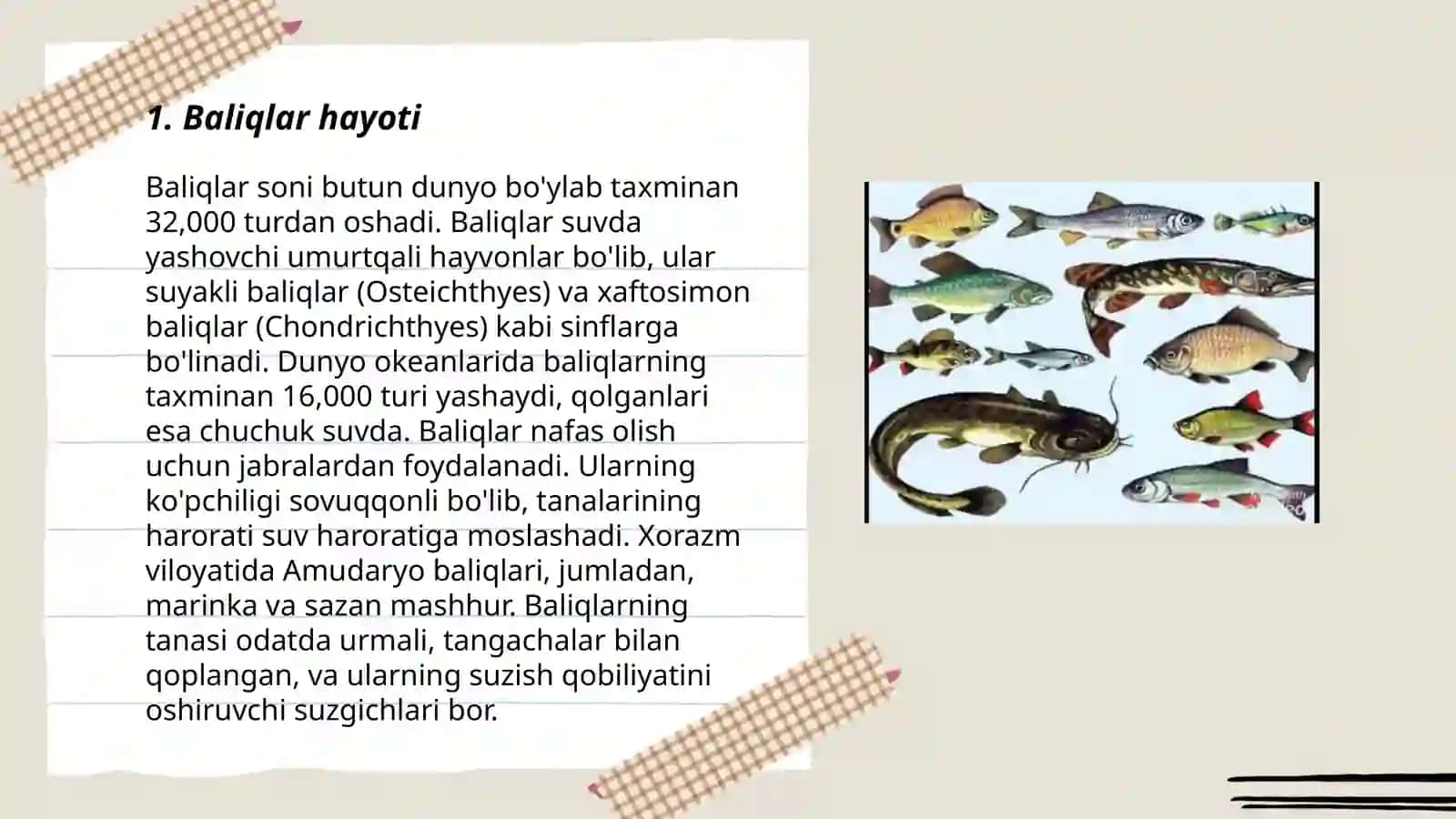 Baliqlar mavzusining dars rejasi va o'tish metodi 3