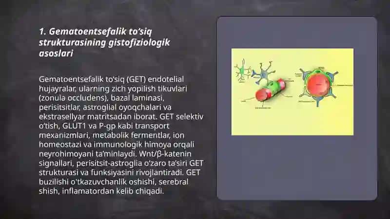 Gematoentsefalik to‘sik gistofiziologiyasi 3