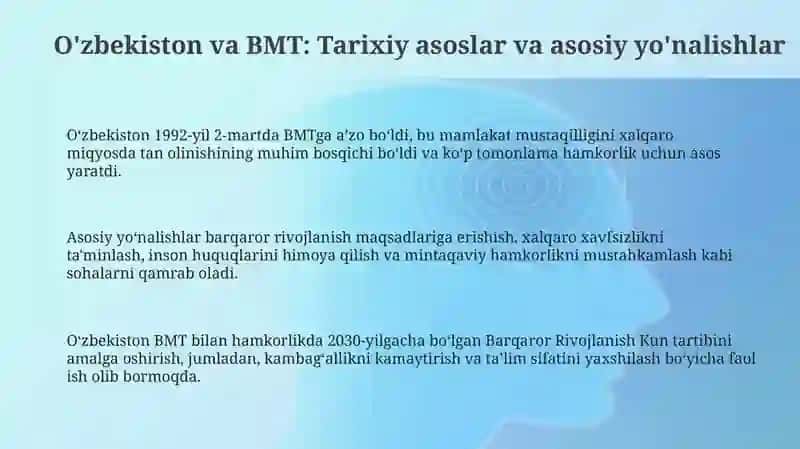 O'zbekiston va BMT: Tarixiy asoslar va asosiy yo'nalishlar 3