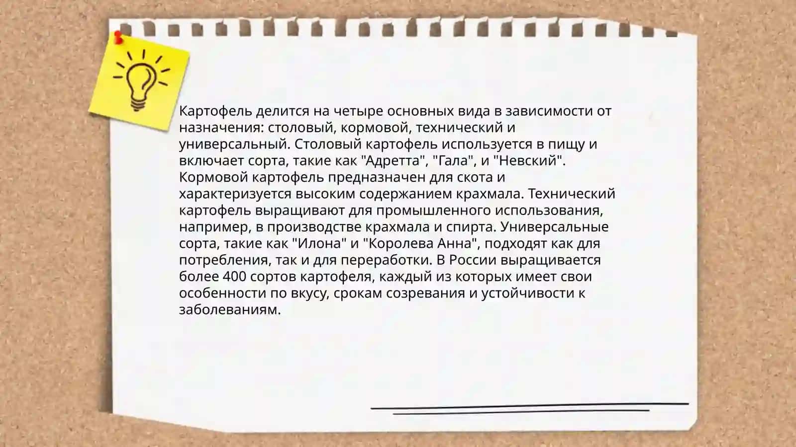 Caфарбоева. С 3