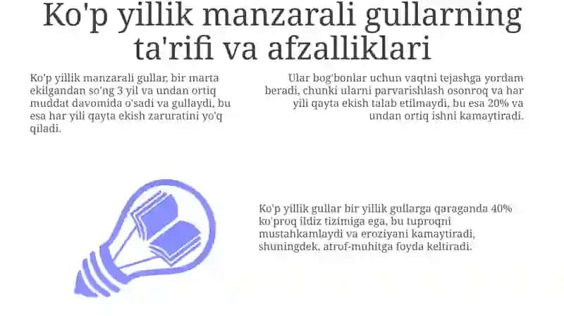 Kòpyillikmanzaraligullar 3