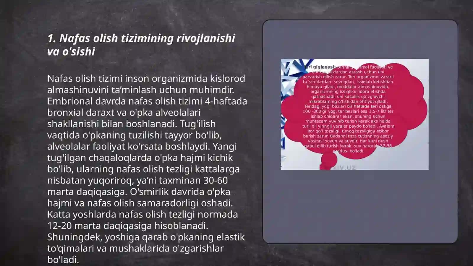 Nafas olish tizimining yosh fiziologiyasi va gigiyenasi 3