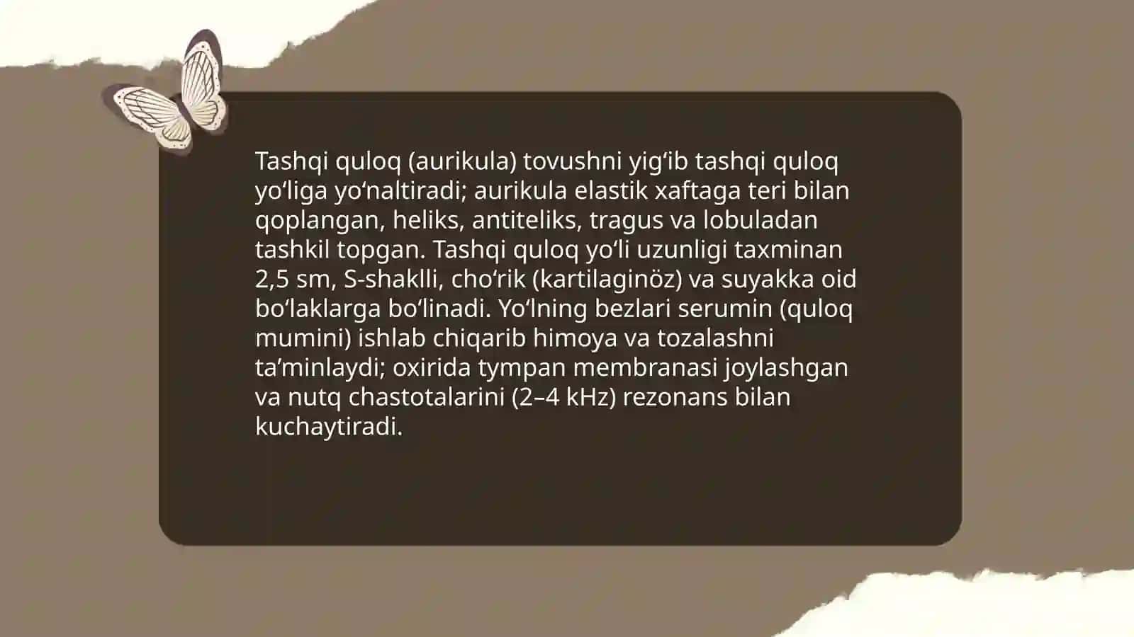 Nutq analizatorining periferik qismi 3