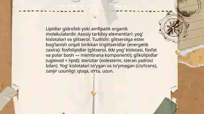 Lipidlar metabolizimi 3