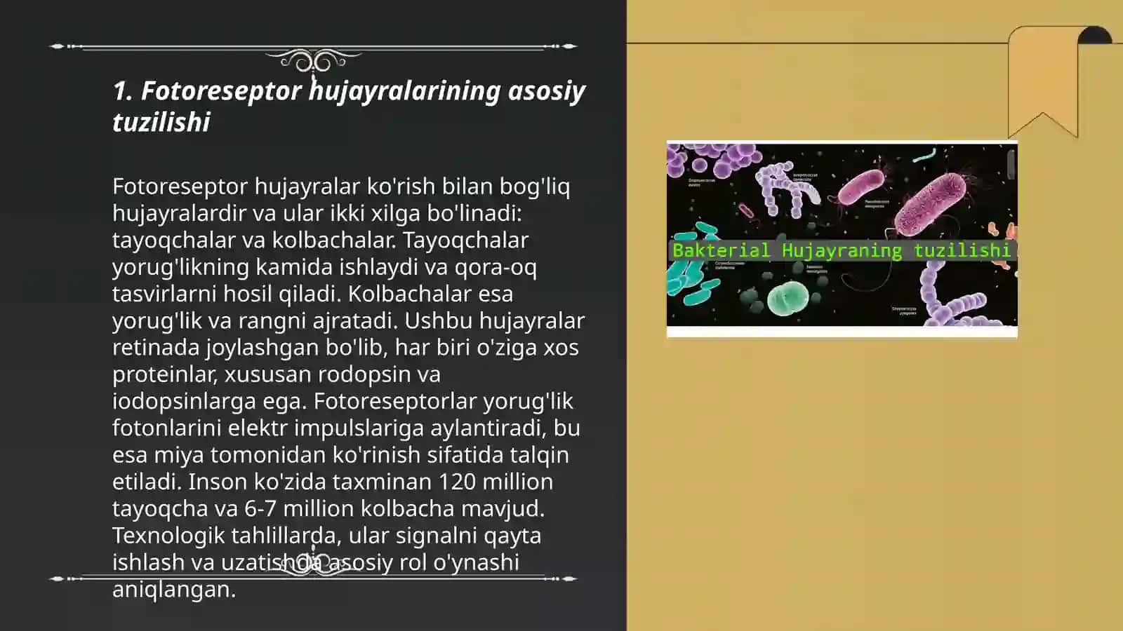 Fotoretseptor hujayralarining ultrastrukturasi va gistofiziologiyasi.Fotoresepsiyaning sitologik va molekulyar mexanizmlari.Gematooftalmik to'siqning tarkibi, funktsiyalari, buzilishlari 3