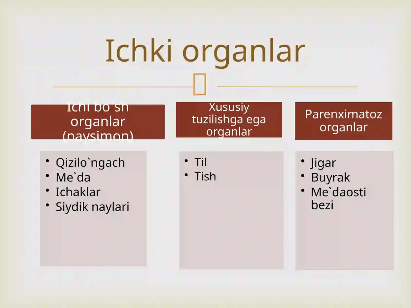 Hazm sistemasi: og`iz bo`shlig`i a`zolari, so`lak bezlari, halqum 3
