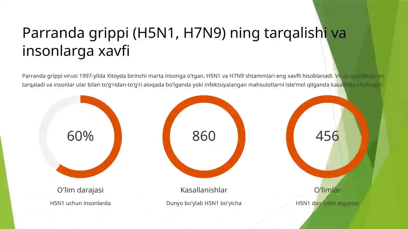 Parranda va cho'chqa grippi: Globallashayotgan xavf 3