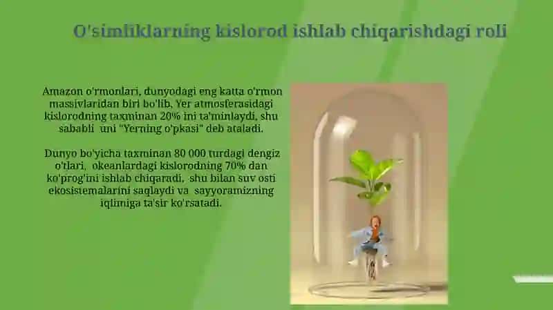 Oʻsimliklarning inson va biosferada tutgan oʻrni va muhofazasi 3