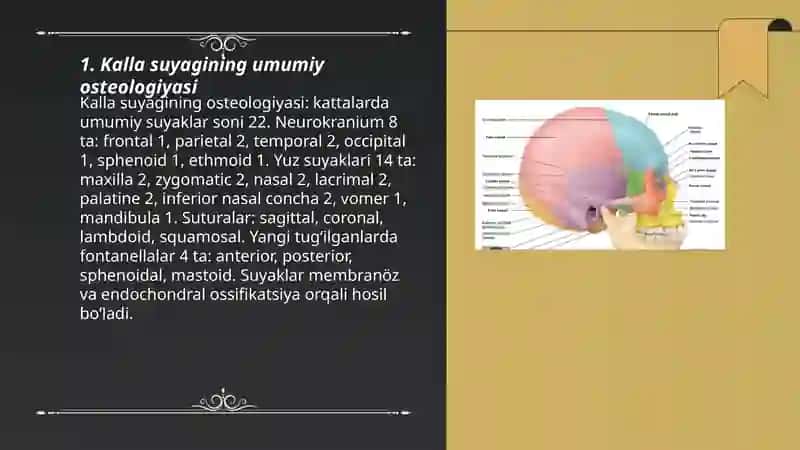 Kalla suyagi 3