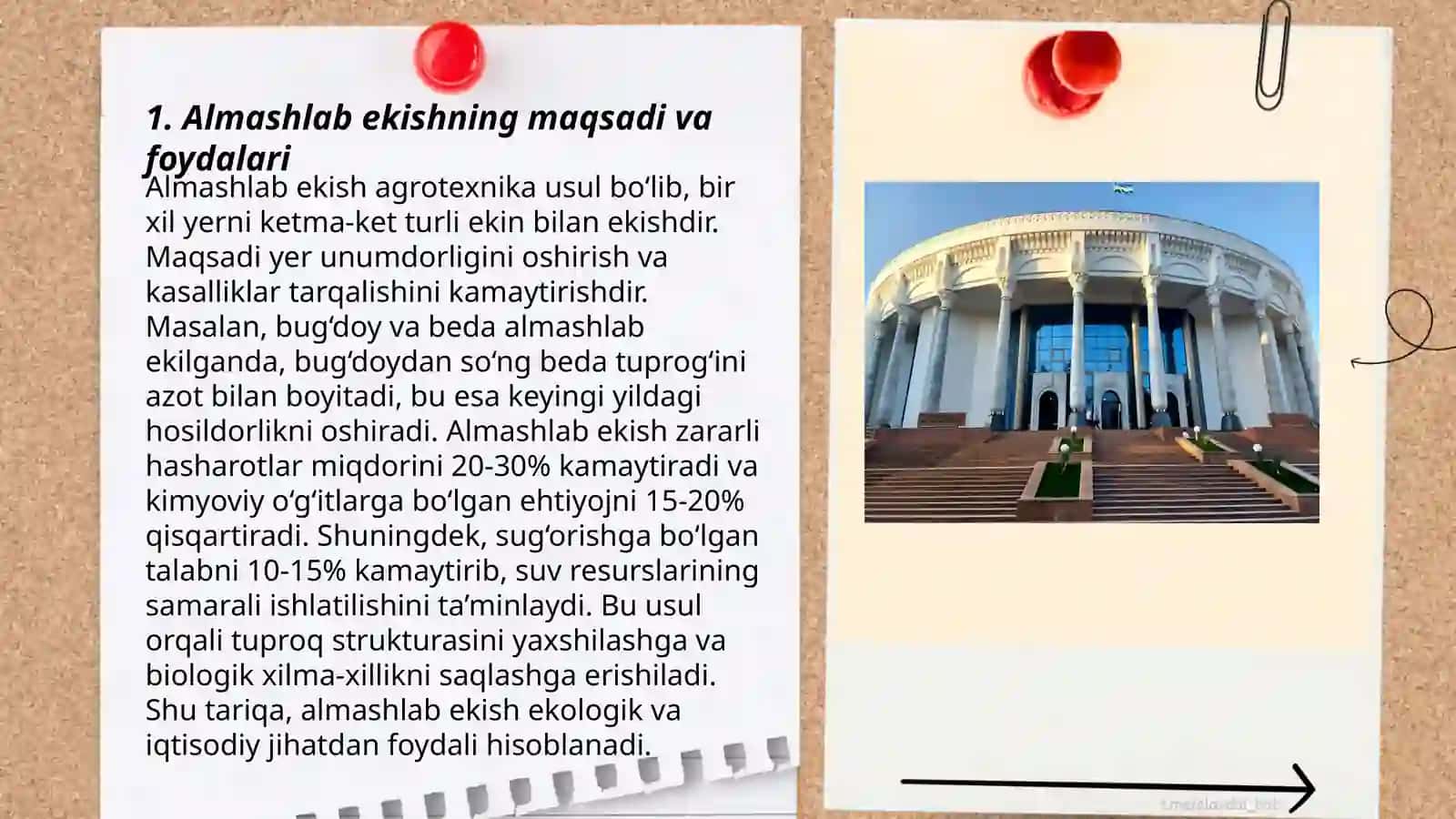 Organik sabzavotchilikda almashlab ekishning o'rni 3