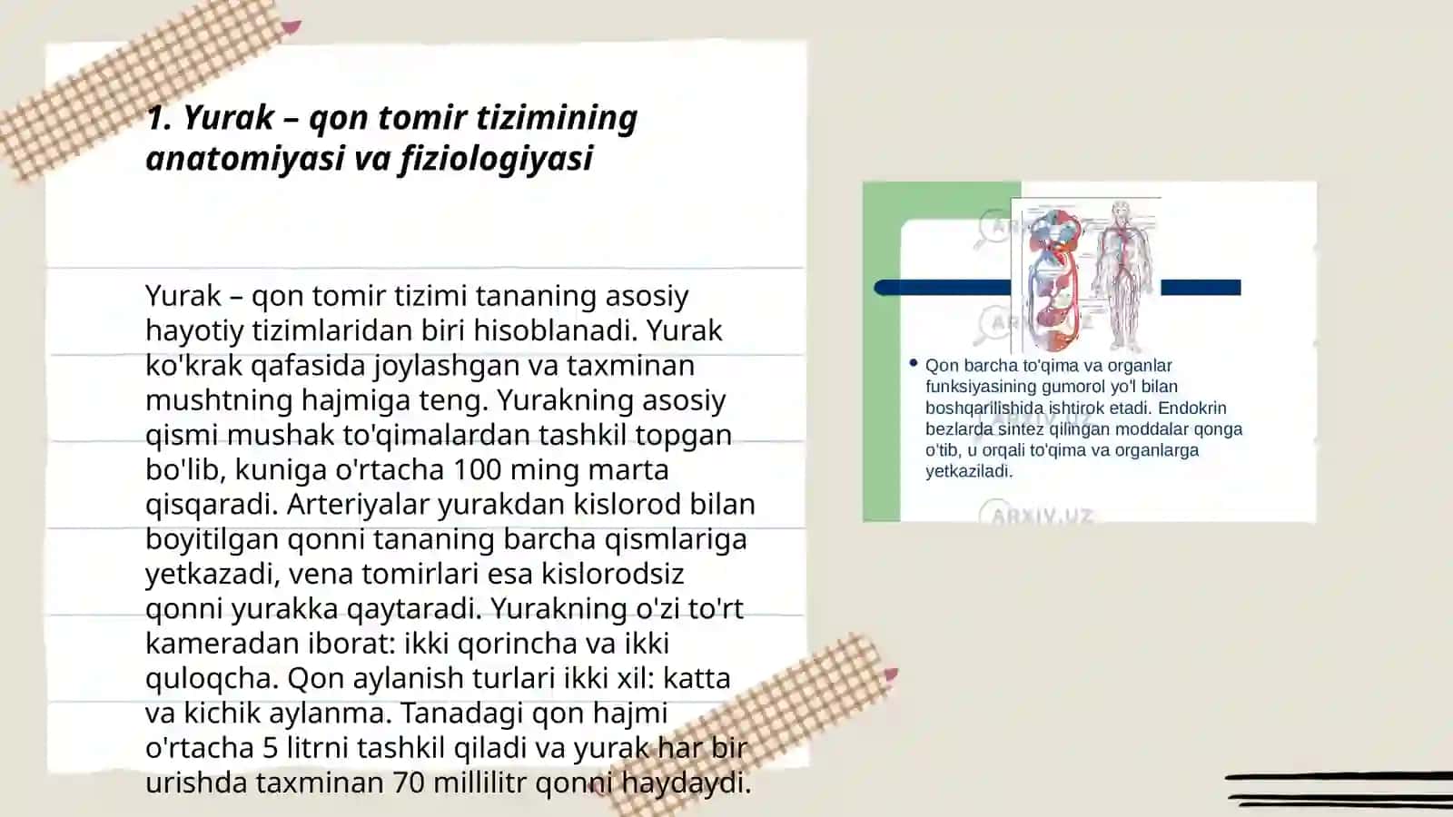 Yurak - qon tomir tizimining yoshga oid fiziologiyasi va gigiyenasi 3