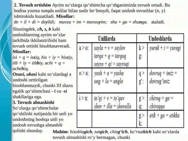 Fonetikuslubiyat.Leksikuslubiyat.Morfologikuslubiyat 3