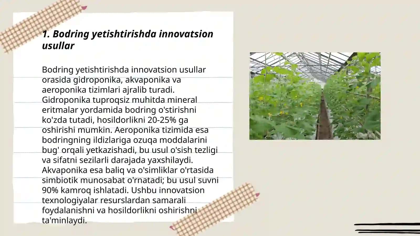 Bodring yetishtirishning zamonaviy texnologiyalari 3