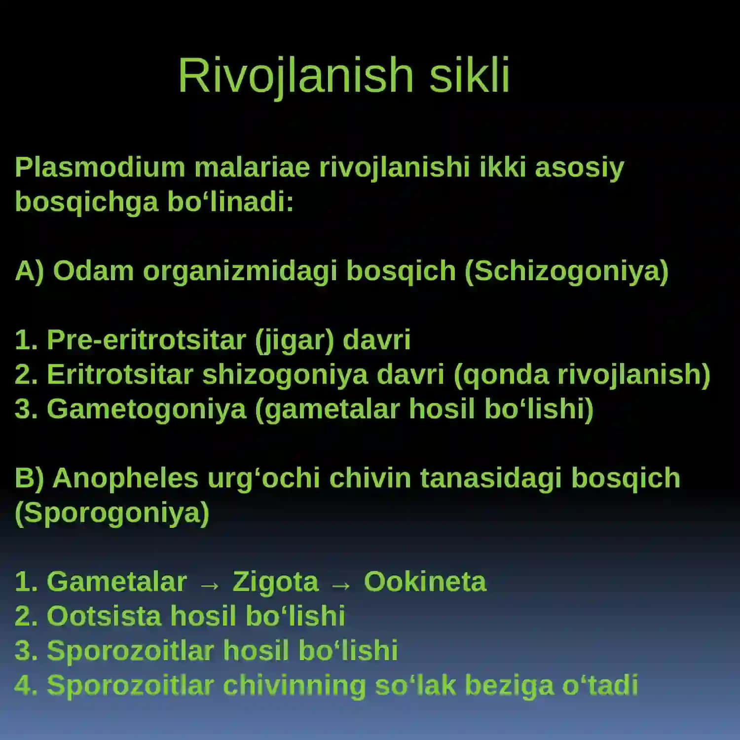 Plasmodium malariae (Rivojlanish sikli Inkubatsion davri Eritrositlar shizagoniya davri. Parazitning qonda oʻtadigan davri Perfirik qonda rivojlanadigan davri Uzuk davri Makrogameta shakli Makrogameta shakli Chivin tanasida rivojlanadigan davrlari. (Sporogoniya)) 3