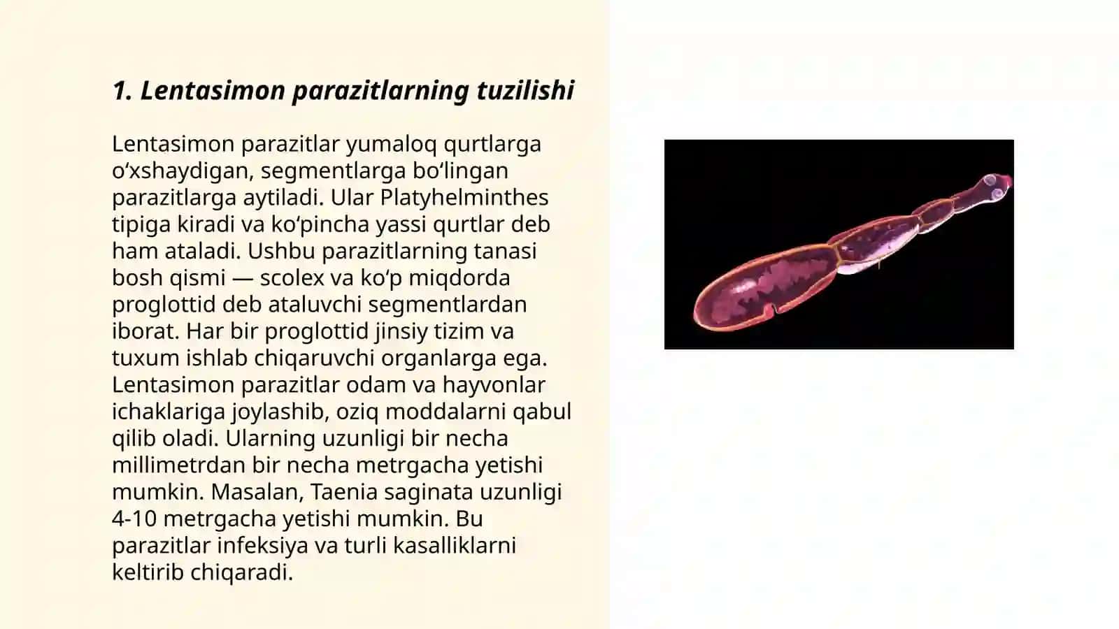 Odamlarda parazitlik qiluvchi lentasimonlar(exinokokk alveokokk) 3