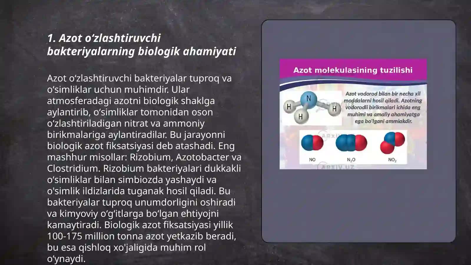 Azot oʻzlashtiruvchi bakteriyalar biologiyasi 3