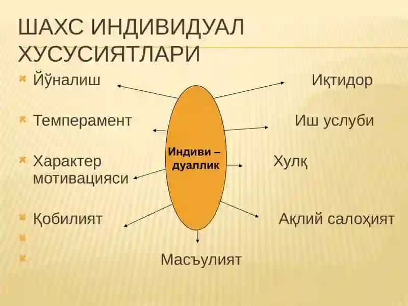 Индивидуал-типологик хусусиятлар классификацияси 3
