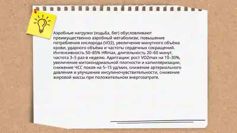 Физиология силовых упражнений в оздоровительной физкультуре 3