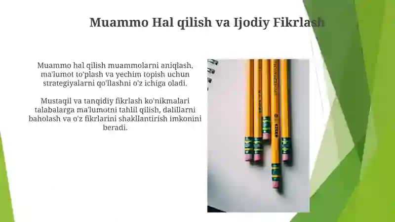 Sinifda Mustaqil va Tanqidiy Fikrlashni Rivojlantirish 3