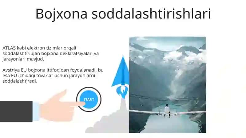 Austria davlatining bojxona tizimi 3