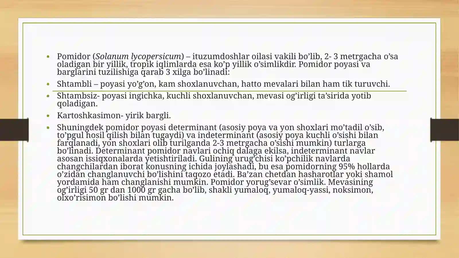 Pomidoryetishtirshuchuno’g’itlashtizimi 3