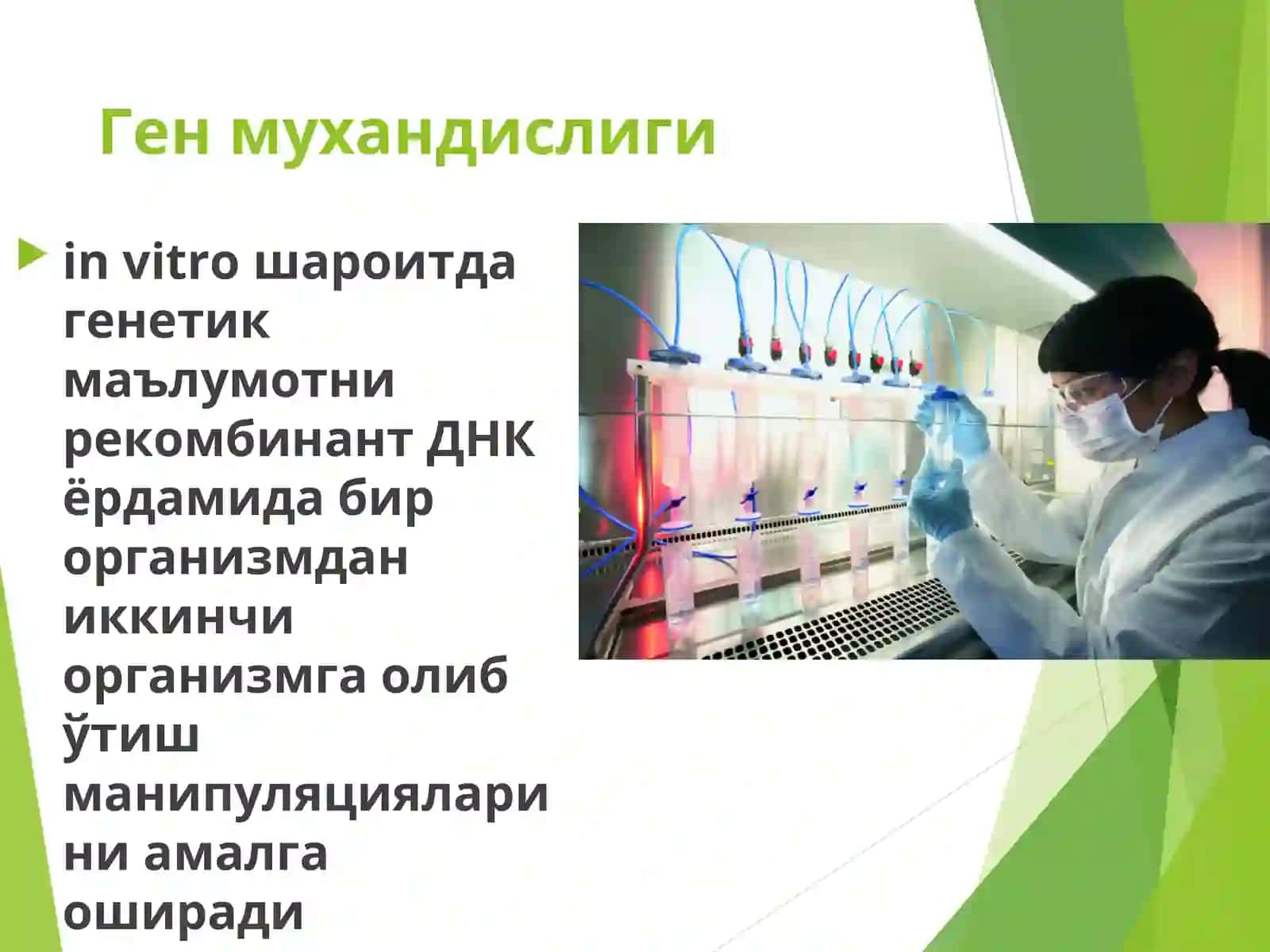 Ген мухандислиги 3