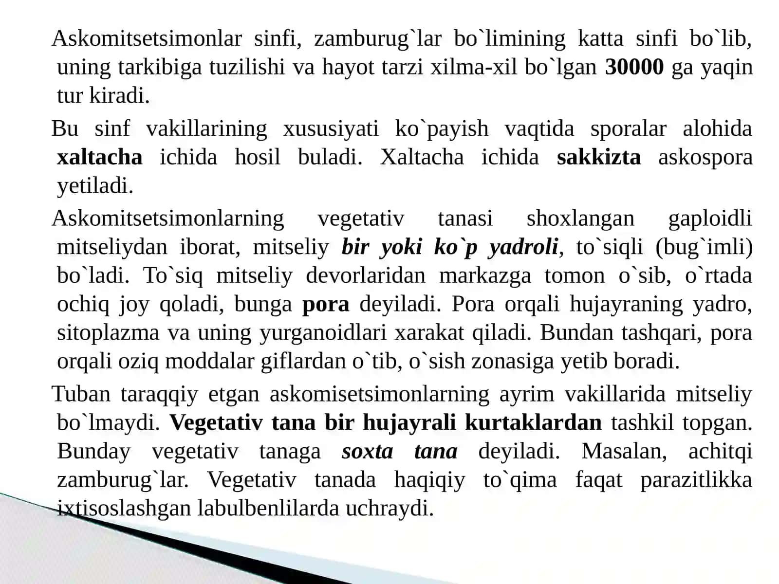 Askоmitsеtsimоnlar sinfi 3