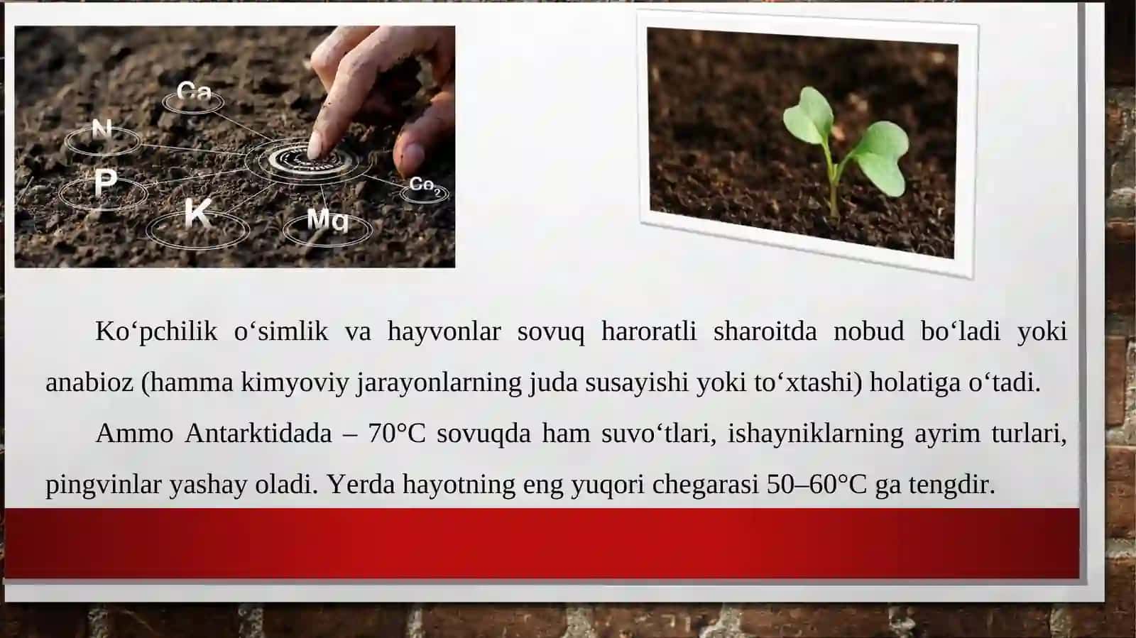 Tuproq muhitidagi abiotik omillar va ularning organizmlarga ta’siri 3