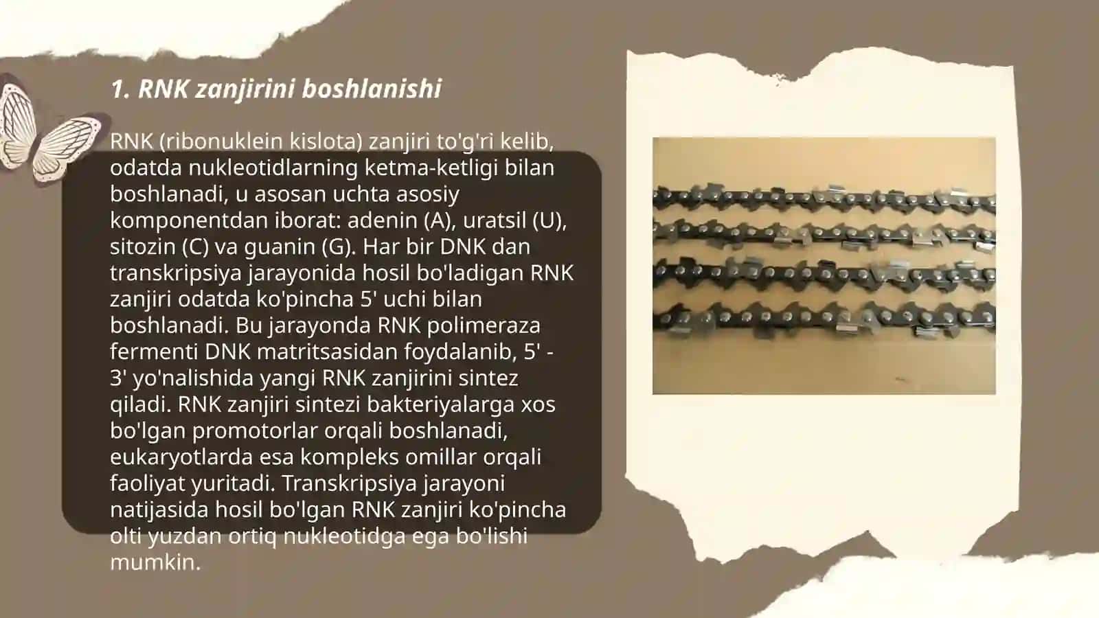 RNK zanjirini oʻsishi (elongatsiya), RNK zanjirini terminatsiyasi 3