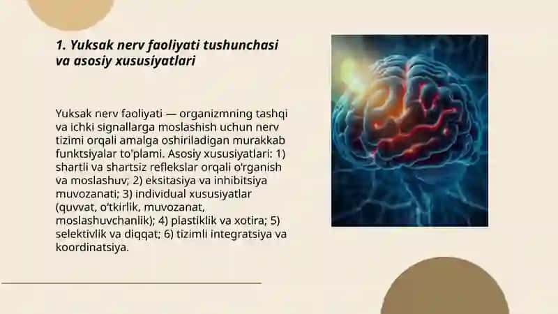 Yuksak nerv faoliyati. I.P. Pavlov ta'limotining asosiy qoidalari 3