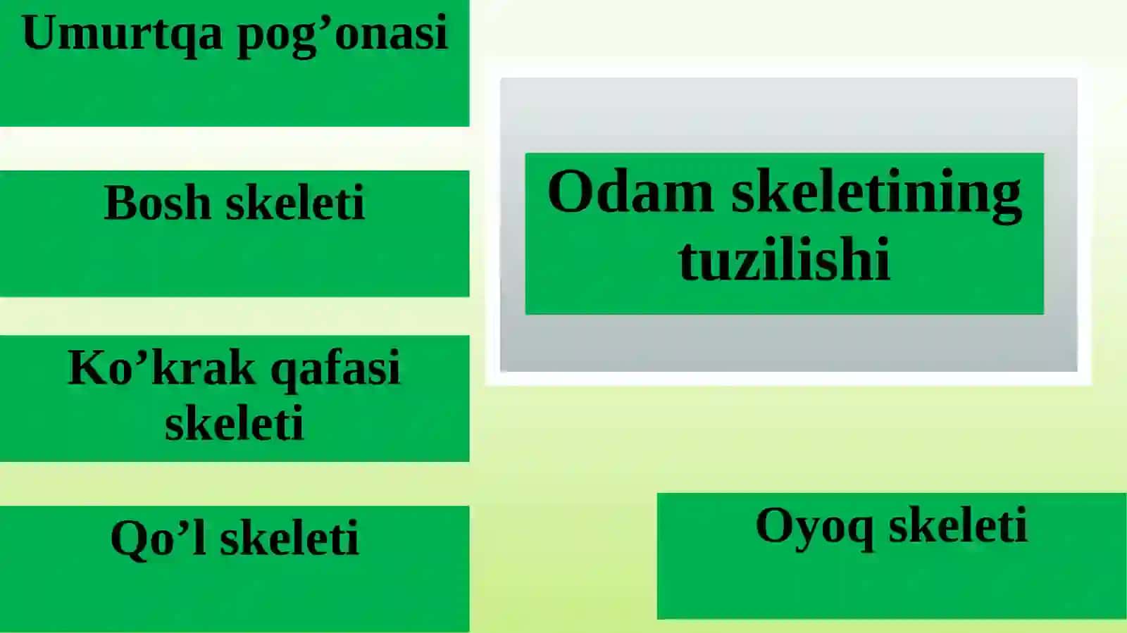 Tayanch-harakatlanish sistemasining rivojlanishida jismoniy mehnatning ahamiyati 3