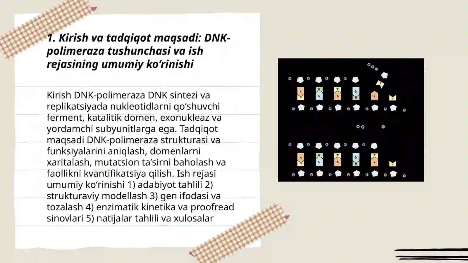 DNK-polimeraza fermentining strukturasiga funksiyalari mavzusida ilmiy reja 3