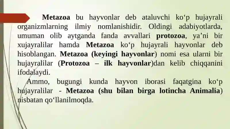 Ko‘p hujayralilar 3