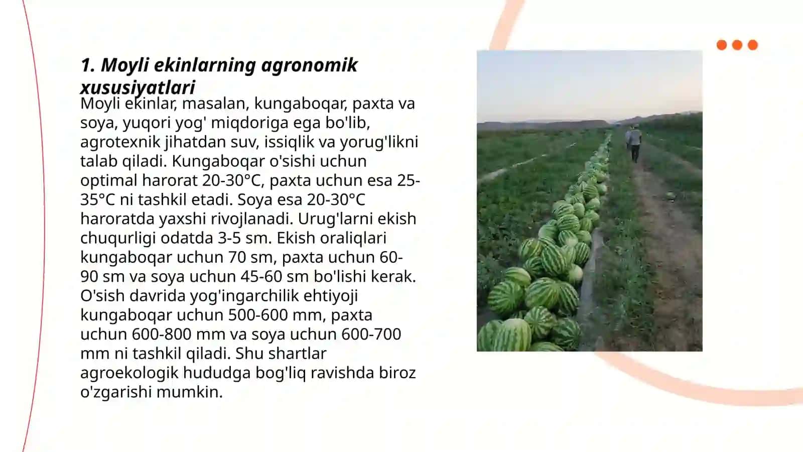 Moyli ekinlarni oraliq ekin sifatida yetishtirish texnologiyasi 3