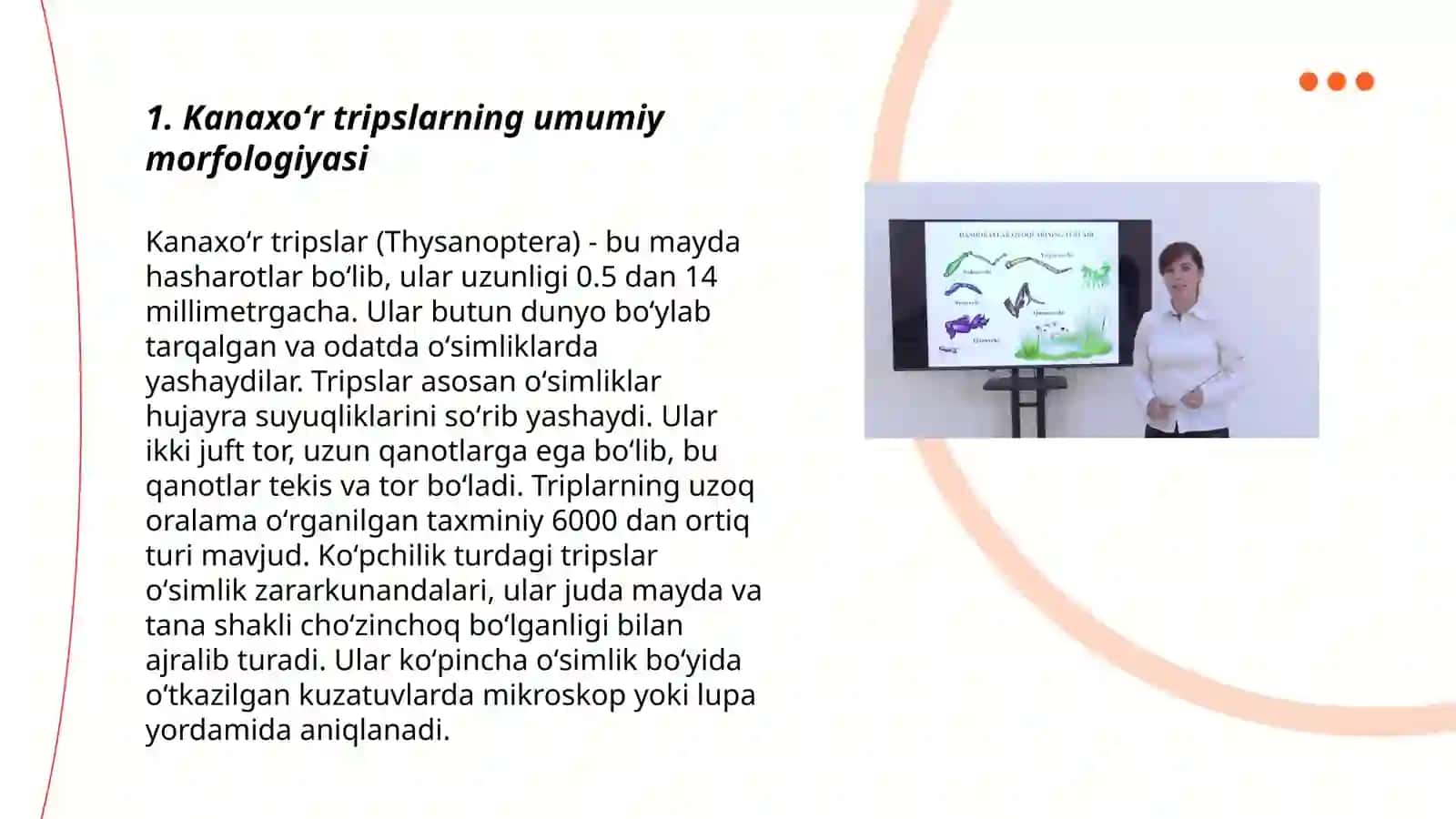 Kanaxoʻr tripslar morfologiyasini oʻrganish 3
