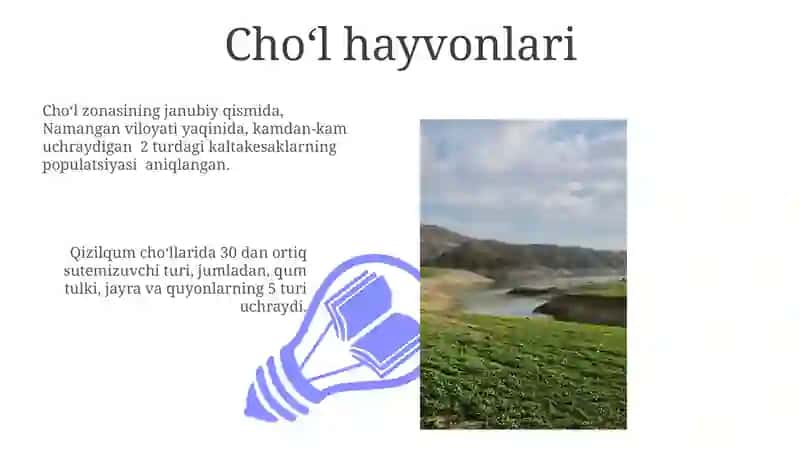 Oʻzbekistonning Iqlimi 3