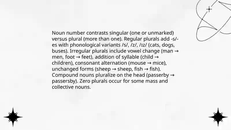 Morphological categories 3