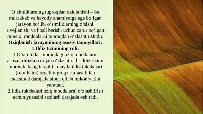Oʻsimliklarning tuproqdan oziqlanishi 3